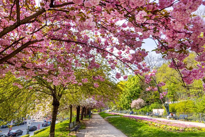 Skip-the-line Petrin Tower Prague Tour via Petrin Funicular - Price and Booking