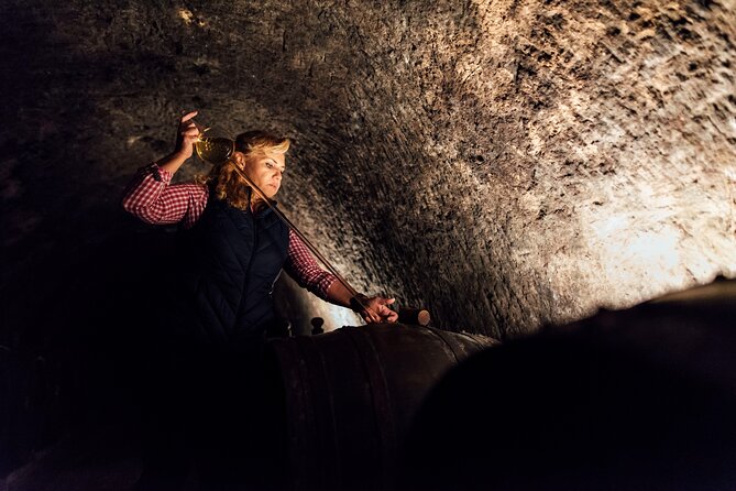 Slovak Tokaj Wine Tasting at Tokaj & CO - Pricing Information