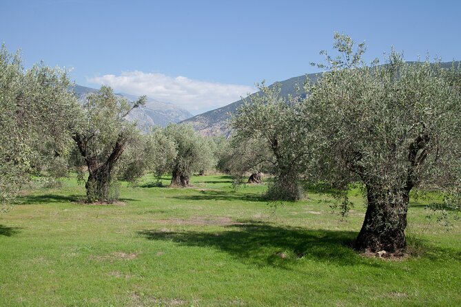Small Group Athens to Delphi Day Trip and Honey Farm - Local Expert Guide