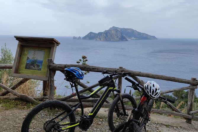 Sorrento: Gastronomic Tour by E-Bike and Visit to Acetaia - Pricing Information