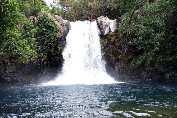 South Hiking Trip : 7 Waterfalls of Black River With Lunch - Group Size and Safety Measures