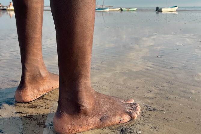 Sunrise Beach Walk With Picnic Breakfast Activity - Cancellation Policy