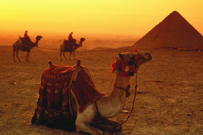 Sunrise or Sunset Camel Ride Around the Giza Pyramids Desert - Convenient Pickup and Transfers