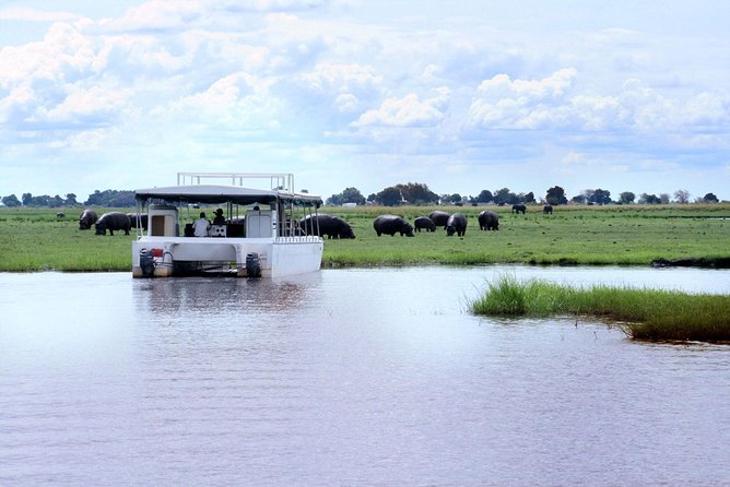Sunset Cruise on Chobe River With Hotel Pickup From Kasane - Frequently Asked Questions