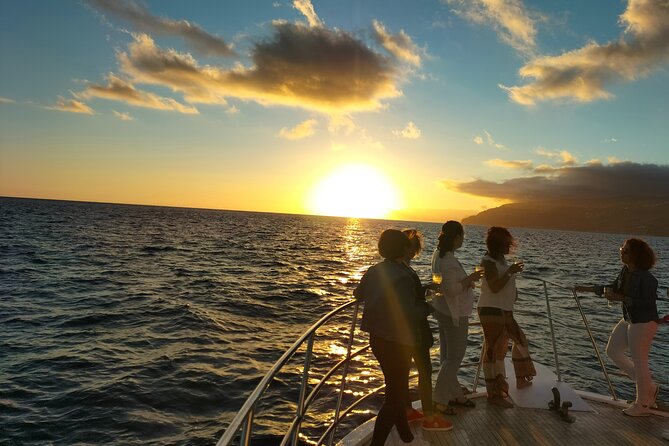 Sunset Cruise With Dinner on Board - Pickup and Transportation Options
