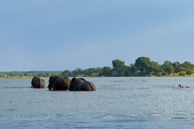 Sunset Cruises on the Zambezi River From Victoria Falls - Directions