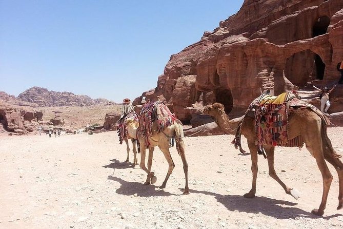 Super Safari Quad Biking and Jeep Safari , Beoduin Village BBC Dinner - Pricing Information