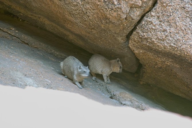 Swakop River Valley & Spitzkoppe Full Day 4x4 Tour From Walvis Bay - Pickup Details
