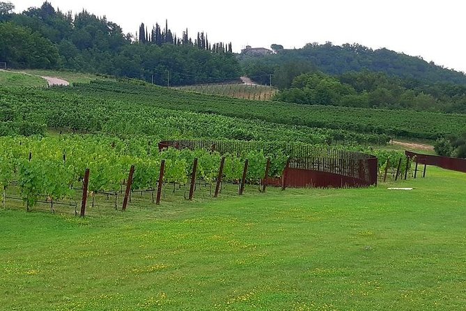 Sweet Hills of Chianti & San Gimignano With Lunch & 2 Tastings - Pricing Information