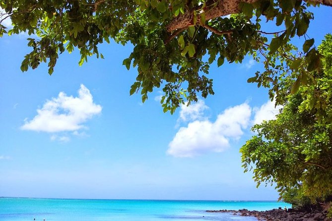 Swim With Wild Dolphins and Visit 4 Beaches in the North - Directions