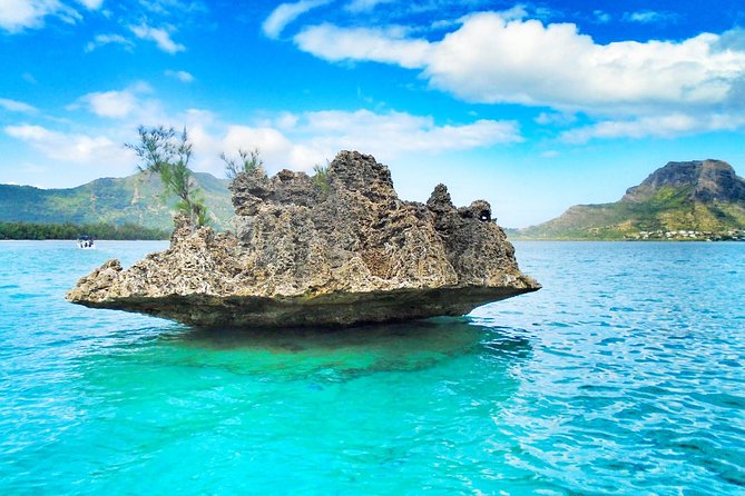Swim With Wild Dolphins & Benitiers Island With Lunch & Transport - Reviews