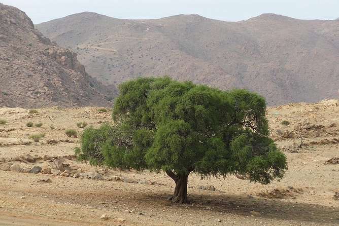 Tafraout and Tiznit Guided Day Tour From Agadir - Logistics and Transportation Information