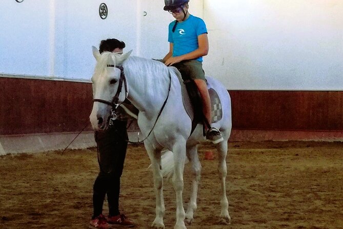 Tailor Made Full Day Private Guided Tour With Vehicle in Lisbon - Transportation Information