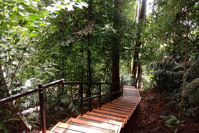 Taman Negara National Park DAY Tour (SIC - Join In Tour) - What To Expect