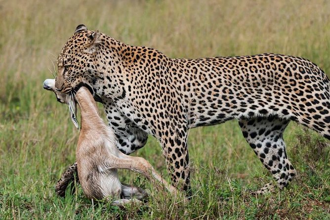 Tanzania Wildlife Safari - Tarangire | Serengeti and Ngorongoro Crater - Booking Details