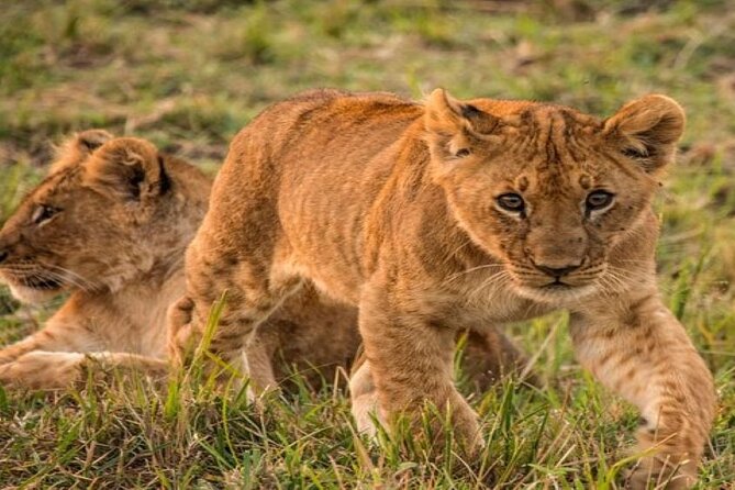 Tarangire, Ngorongoro, Lake Manyara 3-Days - Additional Information