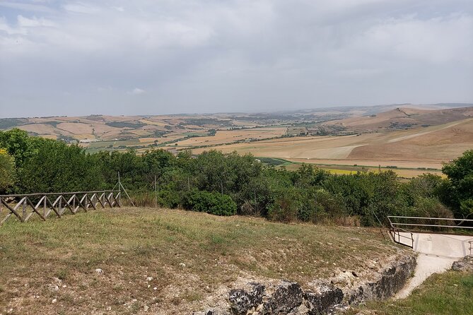 Tarquinia: Private Tour of the Etruscan Necropolis - Tour Expectations