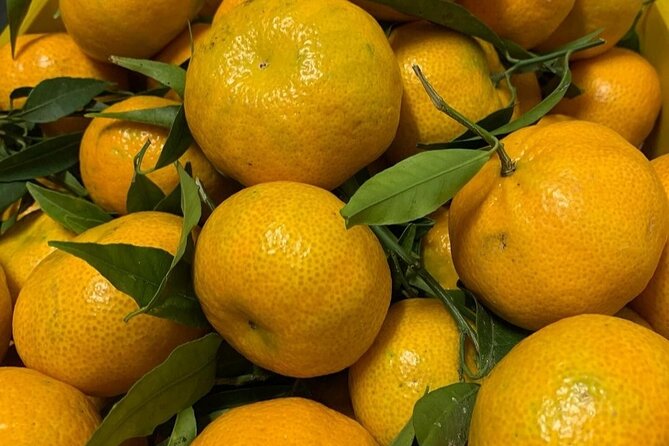 Tasting of Typical Liqueurs of the Amalfi Coast - Location and Meeting Point Information