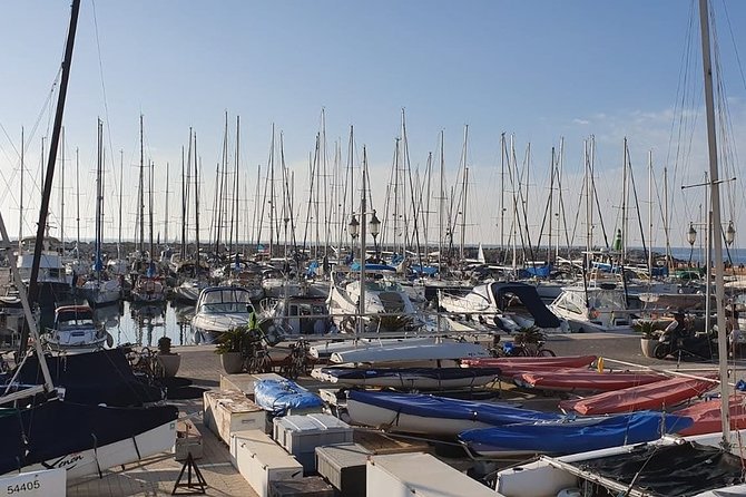 Tel Aviv Highlights Bike Tour - Additional Information
