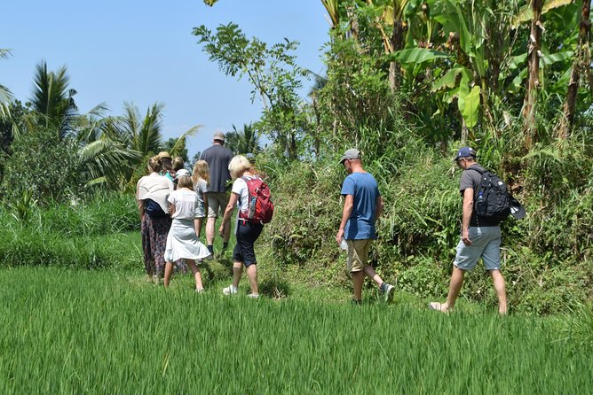 Tetebatu Walking Tour - Rice Terraces, Waterfall & Monkey Forest - Language Diversity in Reviews