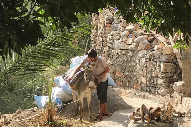THE DONKEY TRAIL, Muscat- Al Jabal Al Akhdar - Directions and Start Time