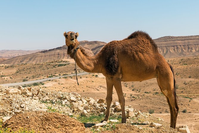 The Judean Desert, the Dead Sea and Masada - Location and Overview