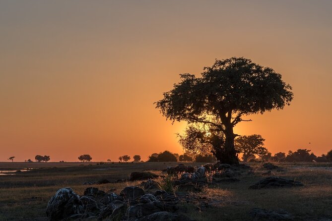 The Mosi Oa Tunya National Park Game Drive - Convenient Meeting and Pickup Options