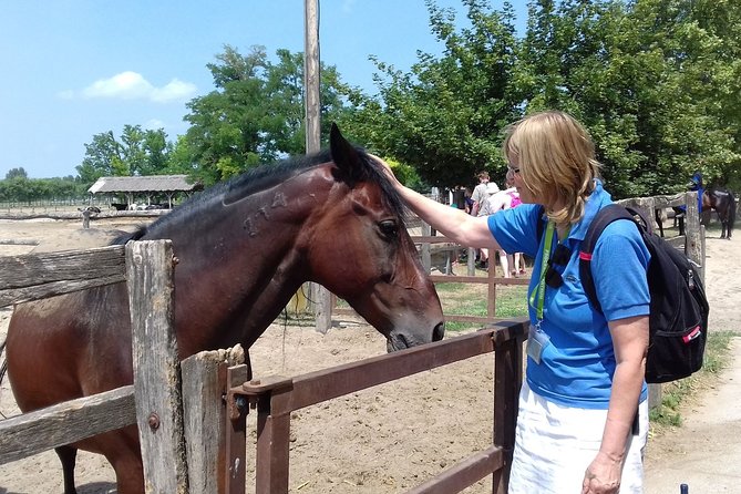 The Puszta Horse Show - Customer Reviews