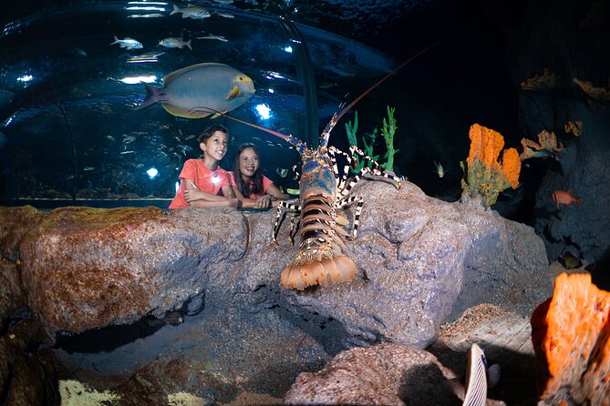 Ticket to the Largest Oceanarium of the Mascarene Islands - Getting There