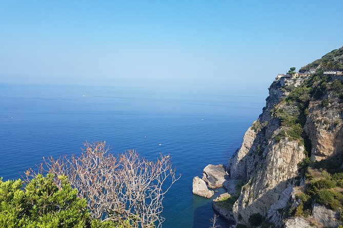 Tour in Rome From the Port of Civitavecchia and Other Tourist Ports of Call - Cancellation Policy Details