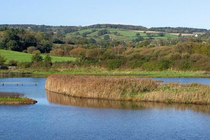 Tour of East Devon-Seaton Tram, Ladram Bay, Beer Village and More - Cancellation Policy