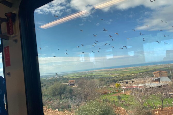 Tour of Gargano With the Train From Foggia to Rodi Garganico - Maximum Travelers and Group Size