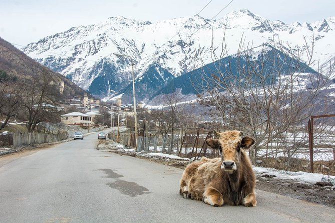 Transfer to Mestia Svaneti - Booking Options