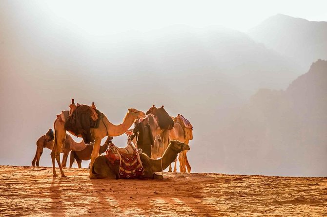 Treasures of Jordan Tour-7 Days Discover Petra & Dead Sea & Wadi Rum With Hotels - Frequently Asked Questions