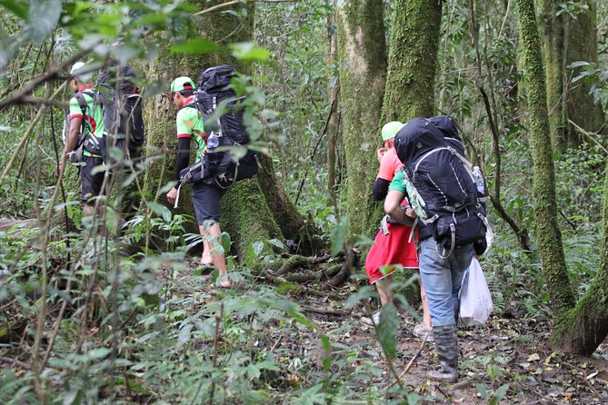 Trek On Langbian Mountain - What to Expect on the Trek