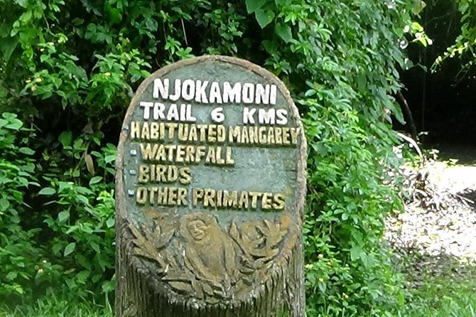 Trekking at Udzungwa Mountains and Tour at Nyerere National Park - Moderate Fitness Level Recommended