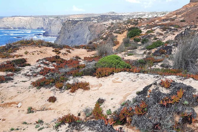 Trekking on the Costa Vicentina: the Fishermens Path. - Frequently Asked Questions