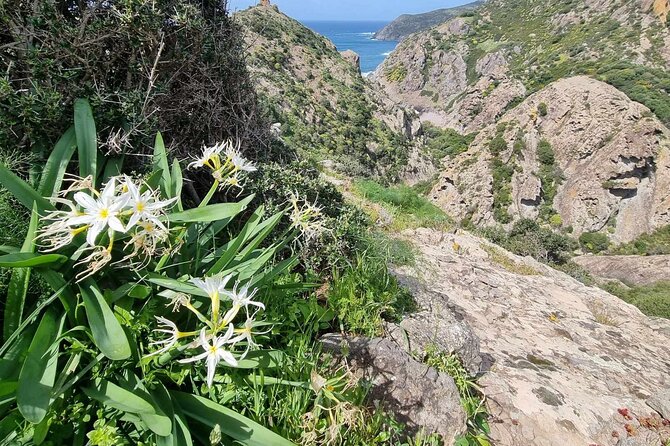 Trekking to Capo Marrargiu Nearby Bosa From Alghero - Start Time