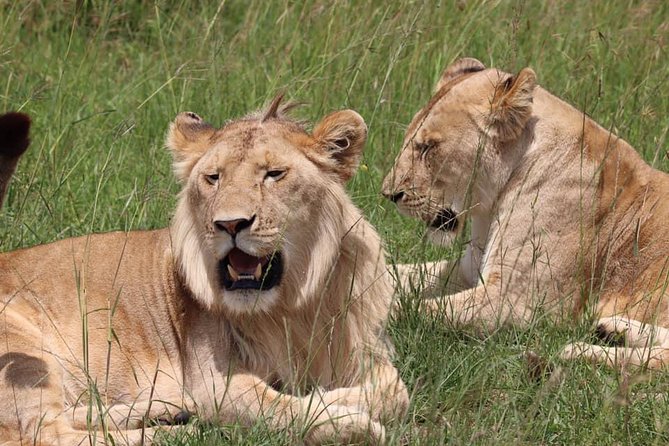 Tsavo Expedition Safari - Expectations and Recommendations
