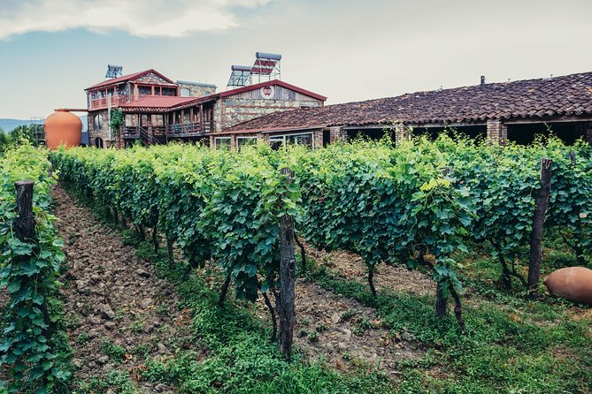 Two Days in Gorgeous Wine Region With Full Board Meals and Tastings From Tbilisi - Cancellation Policy