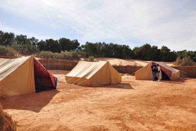 Two Days in the Tunisian Desert With Night in a Berber Tent - Day 2: Lunch and Return