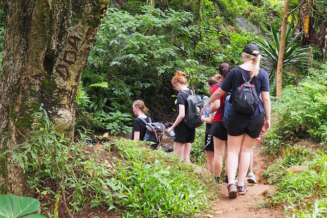 Uluguru Mountains Hike to Bondwa Peak: 2 Days 1 Night Camping - Booking Information