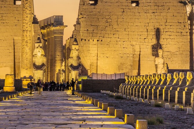 Uncover Secrets With a Horse Carriage Exploration in Luxor - Tour Accessibility Details