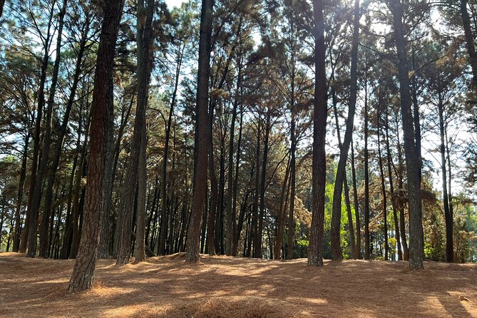 Unique Full-Day Kigali Private City Tour - Customer Reviews