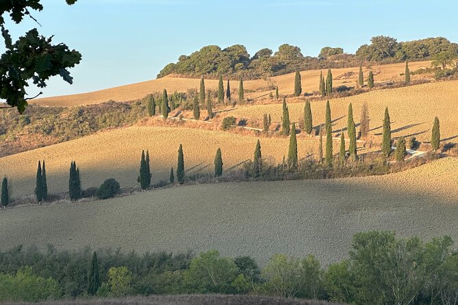 Val DOrcia Private Car Tour to Montepulciano Pienza & SPA Option - Amenities and Optional Stops