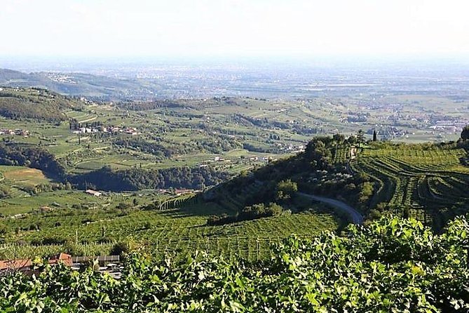Verona Art City, Valpolicella Wine Tasting Full Day Private Tour - Frequently Asked Questions