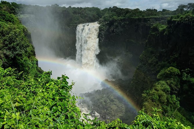 Victoria Falls Private Guided Sunrise Tour - Responses From Host