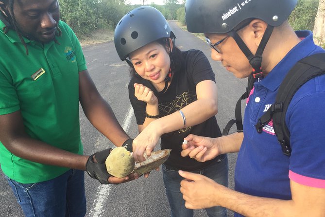 Victoria Falls Segway Tour - Meeting and Pickup Details