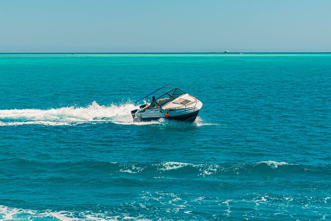 VIP 4-hour Speedboat Thrill: Dolphin Swim, Snorkel & Island! - Booking Details and Group Size