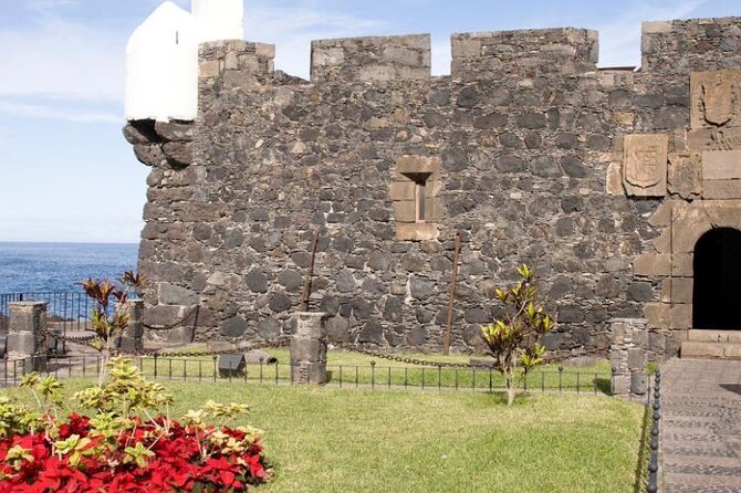 VIP Tour in Teide Icod Garachico and Masca in English - Confirmation and Accessibility